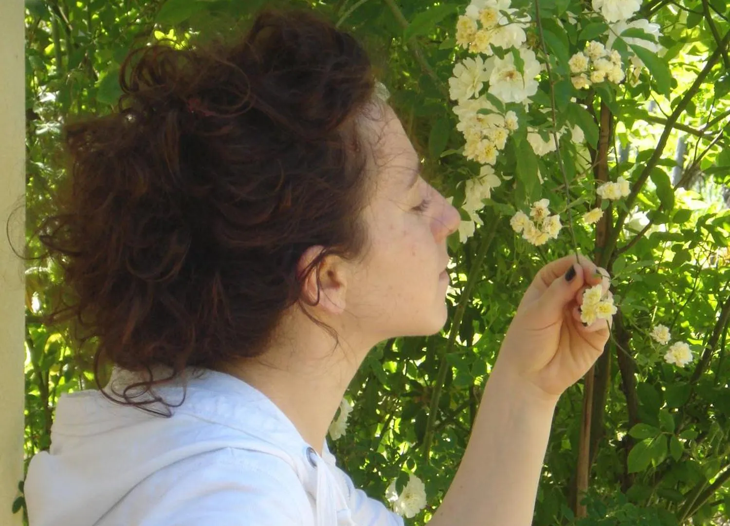 Bed & Breakfast Il Cielo Bio - Il Piu Piccolo B&B Del Chianti Greve in Chianti