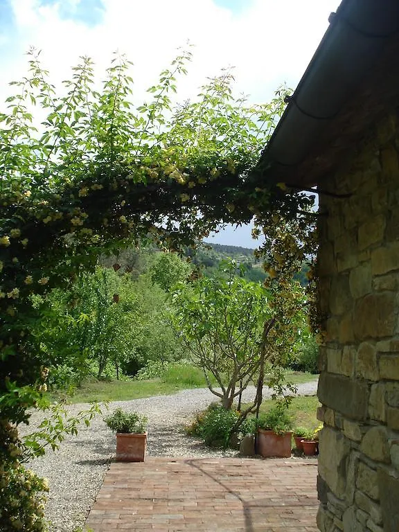 Il Cielo Bio - Il Piu Piccolo B&B Del Chianti Greve in Chianti Bed & Breakfast