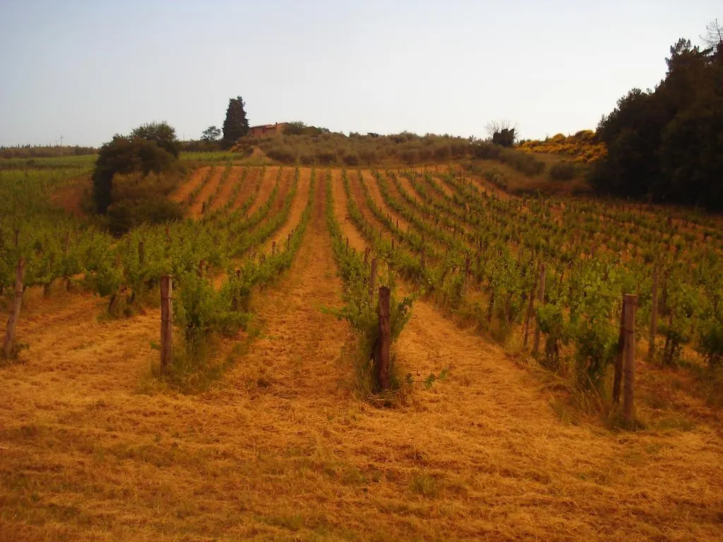 Il Cielo Bio - Il Piu Piccolo B&B Del Chianti Greve in Chianti