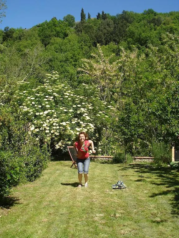 Il Cielo Bio - Il Piu Piccolo B&B Del Chianti Greve in Chianti 3*,
