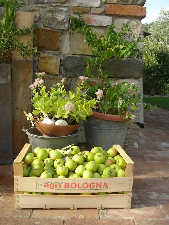 Il Cielo Bio - Il Piu Piccolo B&B Del Chianti Greve in Chianti