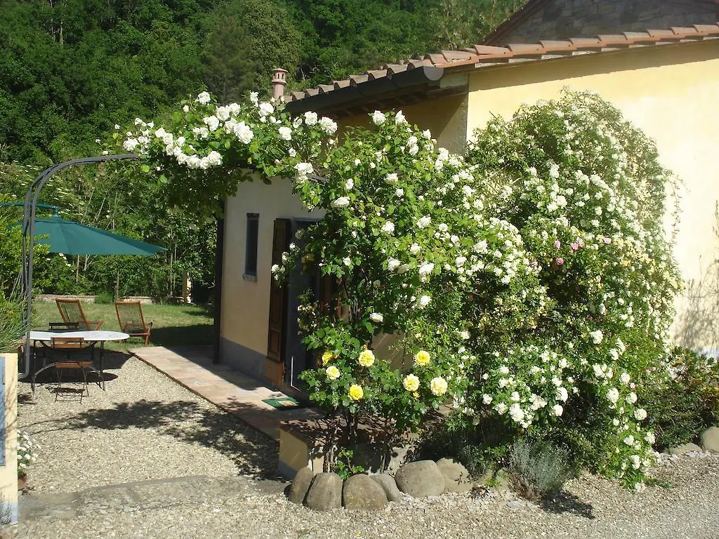 Il Cielo Bio - Il Piu Piccolo B&B Del Chianti Greve in Chianti Bed & Breakfast