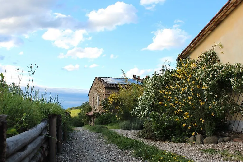 Il Cielo Bio - Il Piu Piccolo B&B Del Chianti Greve in Chianti